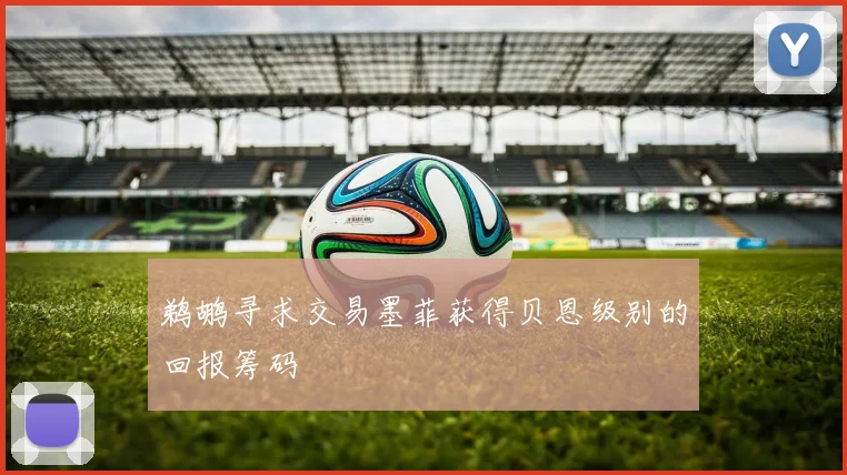 鹈鹕寻求交易墨菲获得贝恩级别的回报筹码