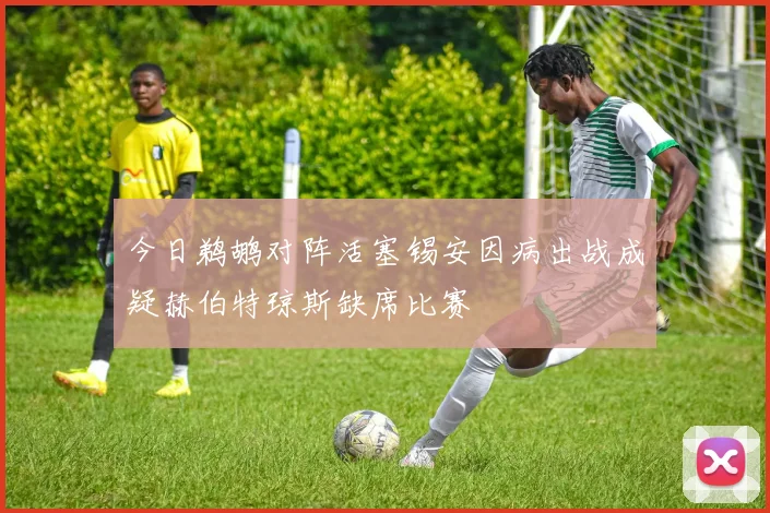 今日鹈鹕对阵活塞锡安因病出战成疑赫伯特琼斯缺席比赛