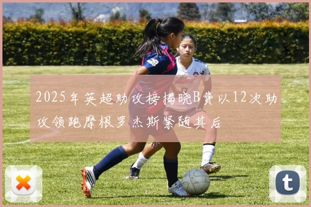 2025年英超助攻榜揭晓B费以12次助攻领跑摩根罗杰斯紧随其后