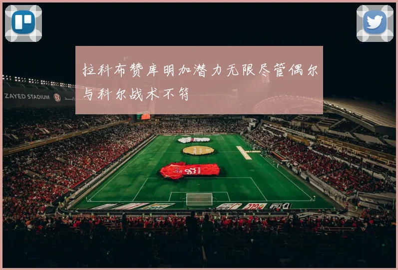 拉科布赞库明加潜力无限尽管偶尔与科尔战术不符