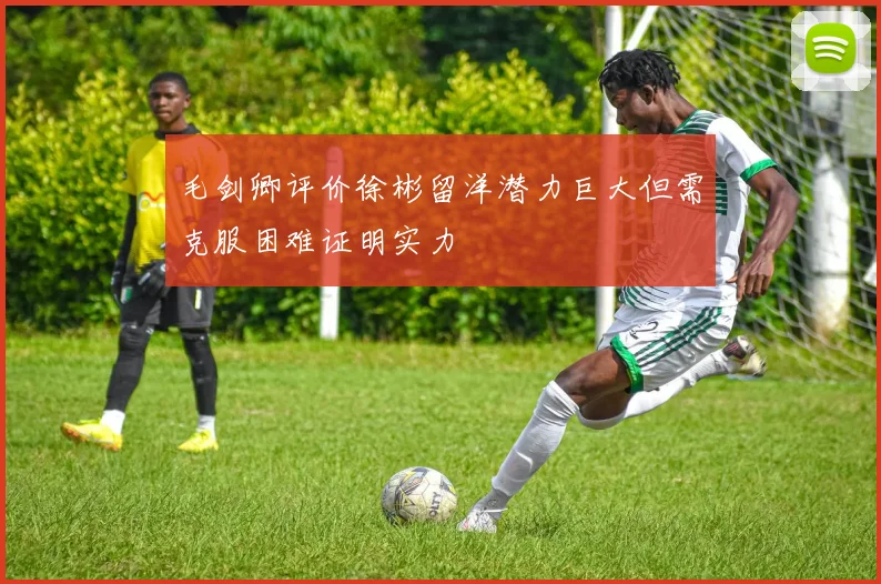 毛剑卿评价徐彬留洋潜力巨大但需克服困难证明实力