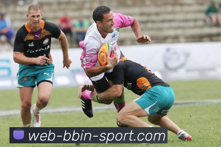 BBIN体育APP 封面图